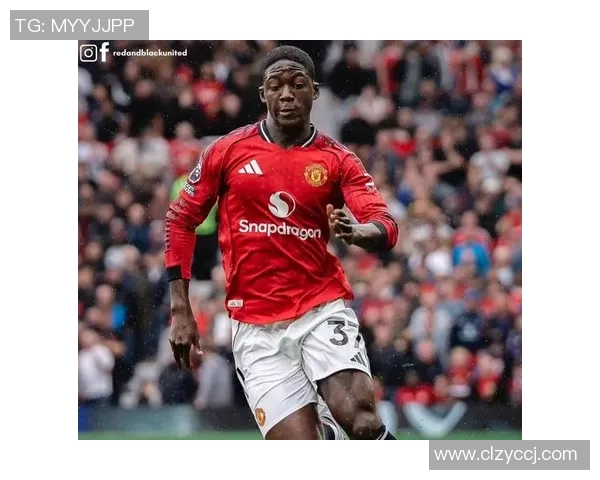 世界杯精彩对决本菲卡与曼联战成平局绝杀瞬间引发全场热烈反响